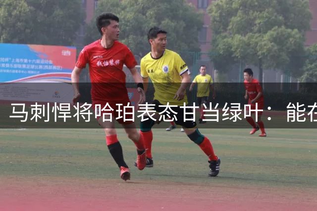 马刺悍将哈珀表态甘当绿叶：能在NBA打球已是最大幸运