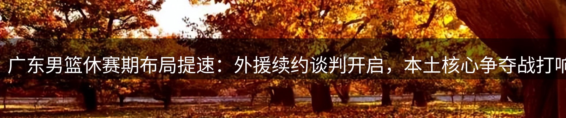 新闻资讯