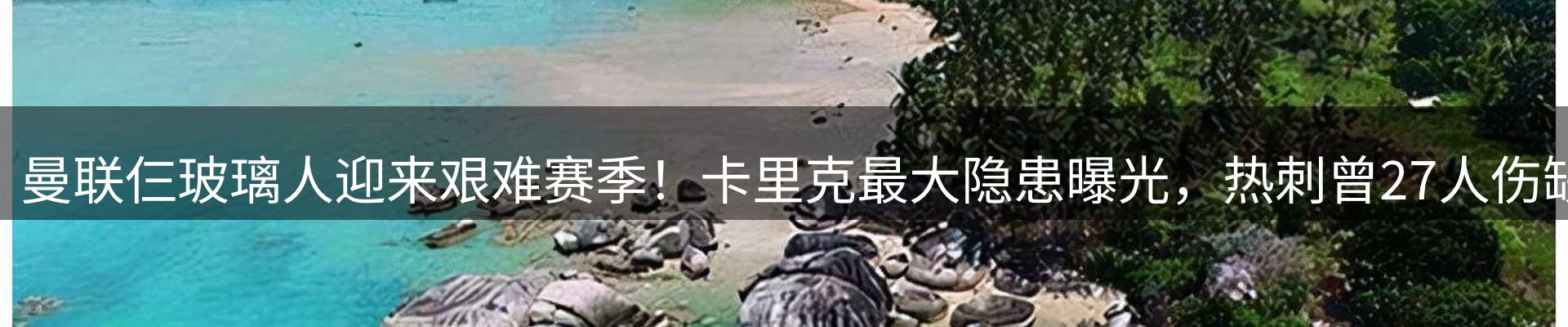 新闻资讯