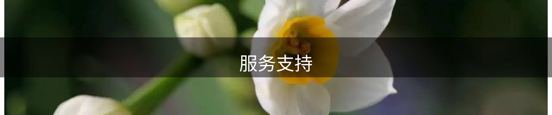 服务支持
